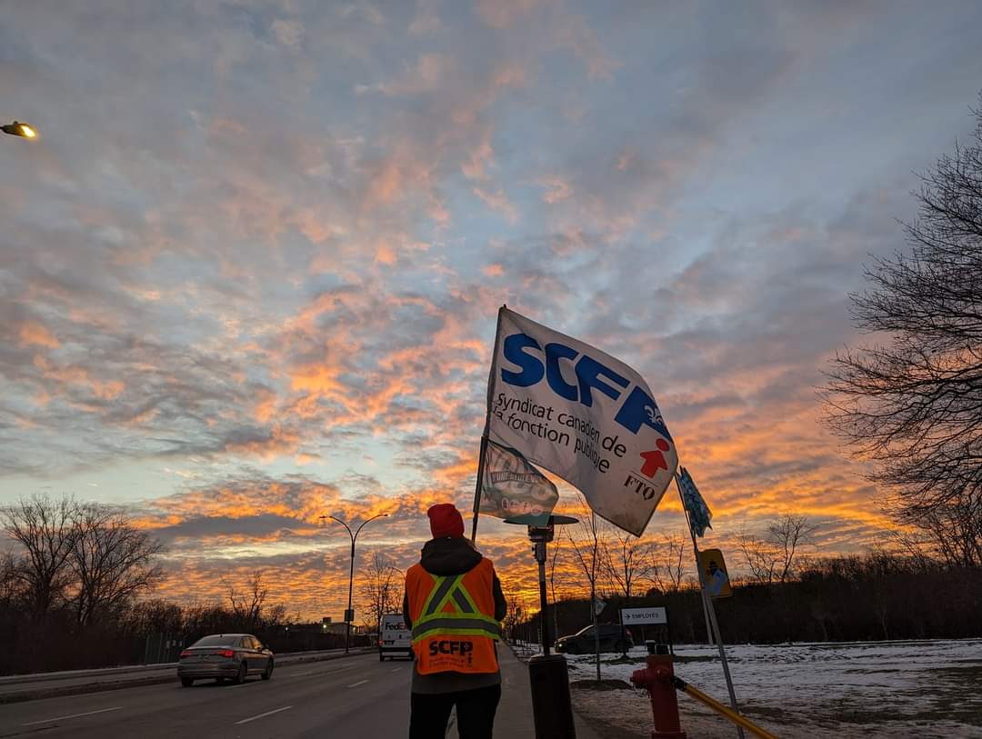 SCFP 2960